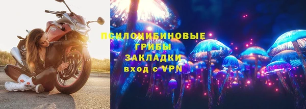 метадон Белокуриха